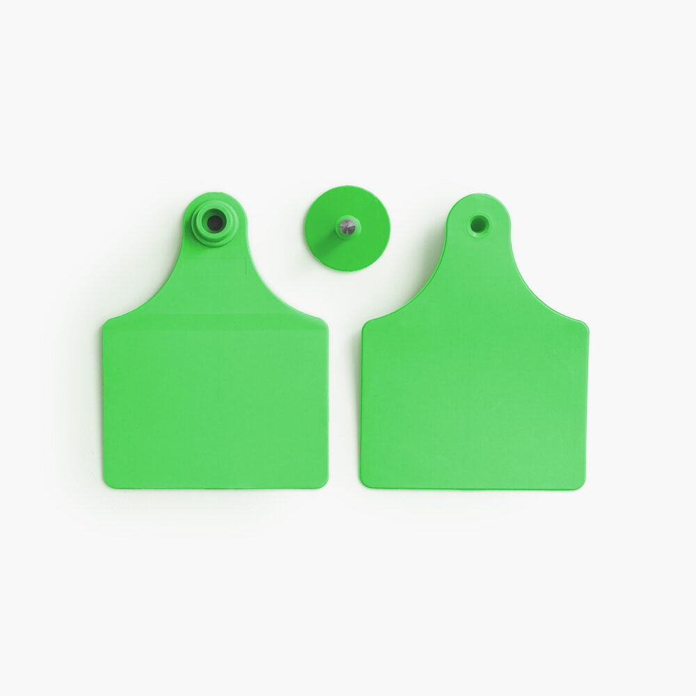 The back and front of the green female tags and a green male button.