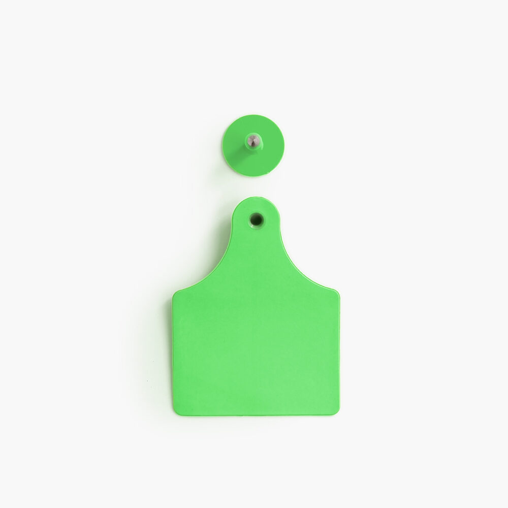 The front of a green female tag and a green male button.
