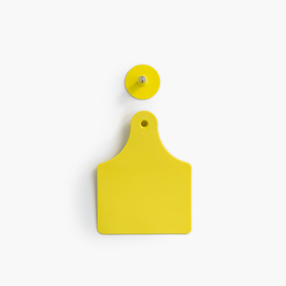 The front of a yellow female tag and a yellow male button.